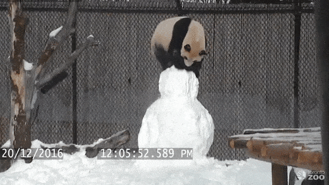 Panda + Snowman